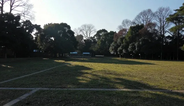 客户互动对采购供应效率的影响分析